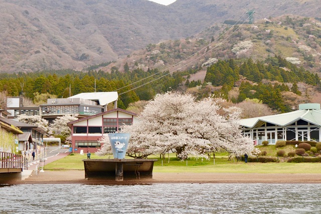 Khám phá thị trấn Hakone – thiên đường nghỉ dưỡng ngay dưới chân núi Phú Sĩ