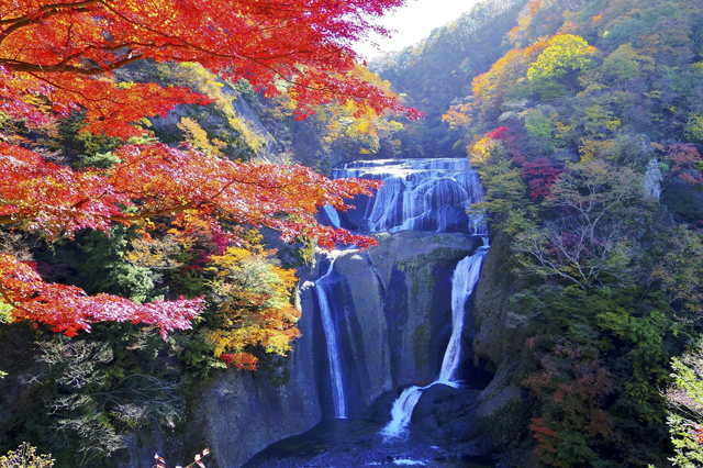 Top 6 địa điểm có mùa thu đẹp nhất Nhật Bản